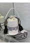 Dior Vibe Bucket Bag White Calfskin