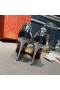 Christian Louboutin Maia Labella 100mm Pumps Strass and Speccchio Leather Silver