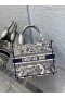 Dior Leabhar Tote Gorm Toile de Jouy Bróidnéireacht