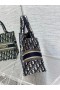 Dior Libro Tote Blu Dior Obliquo Ricamo