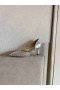Jimmy Choo 65mm Pompe Sclipici Degrada Tesatura de Argint