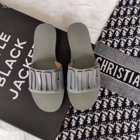 Dior Kovové Logo Papuče Sivá