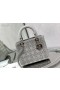 Bag Lady Dior Dior 24 CM, Ukrašen Kristalima, Каннаж Od Satena Srebrne Boje