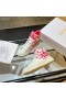 Dior Promenad ' N'Dior Star Vit Röd Dior Etoile Motiv