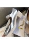 Dior D-Bebek Pompası Gümüş Parlak Dana Derisi