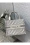 Dior Libro Tote Gris Dior Oblicuo Bordado