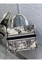 Dior Libro Tote Latte Dior Zodiaco Bordado