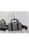 Dior Lingot 26 De Bolsa Beige Negro De Dior Oblicuo Jacquard