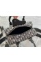 Dior Lingot 26 De Bolsa Beige Negro De Dior Oblicuo Jacquard