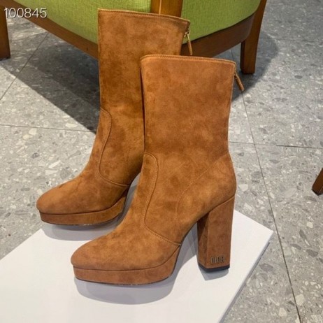 Dior D-Rise Suede Laarzen Bruin 100mm