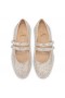 Christian Louboutin Sweet Jane Strass Ballerina ' S Veau Van Velours En Strass Naakt 1