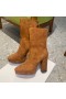 Dior D-Rise Suede Laarzen Bruin 100mm
